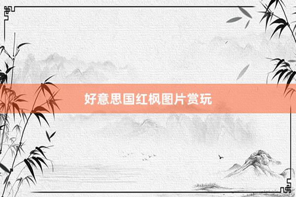 好意思国红枫图片赏玩