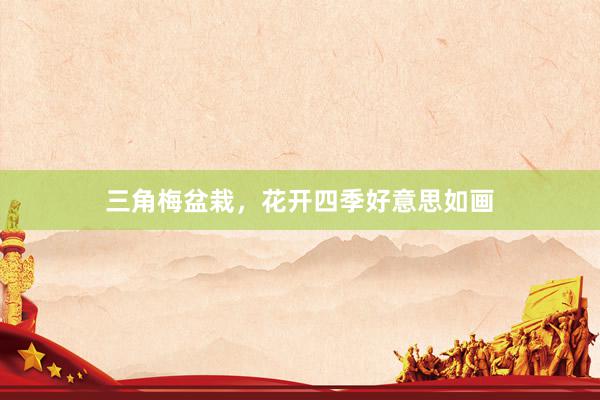 三角梅盆栽，花开四季好意思如画
