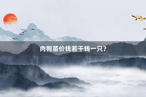 肉狗苗价钱若干钱一只？