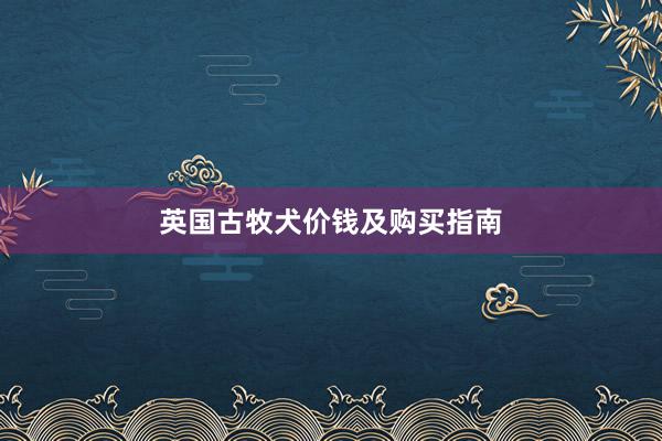 英国古牧犬价钱及购买指南